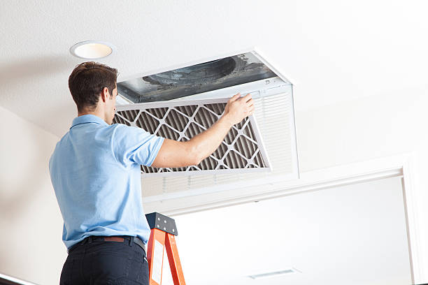 Best HVAC Maintenance Near Me  in Douglas, AZ
